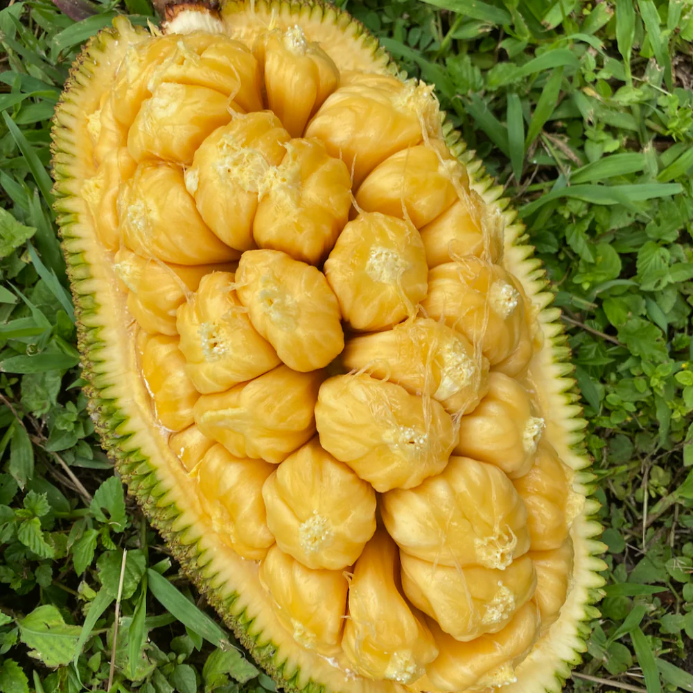 Kinh doanh nông lâm sản