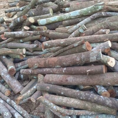 Củi cây, củi rừng, củi tạp