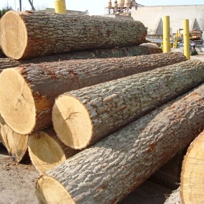 Gỗ tạp tự nhiên